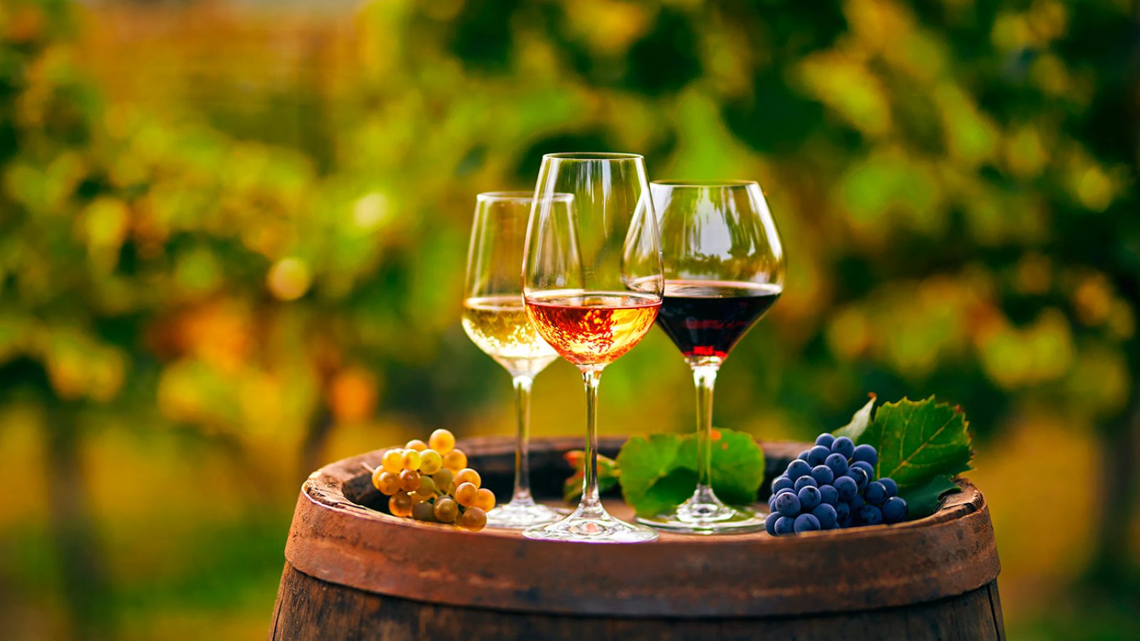 varietat de vins de la costa brava